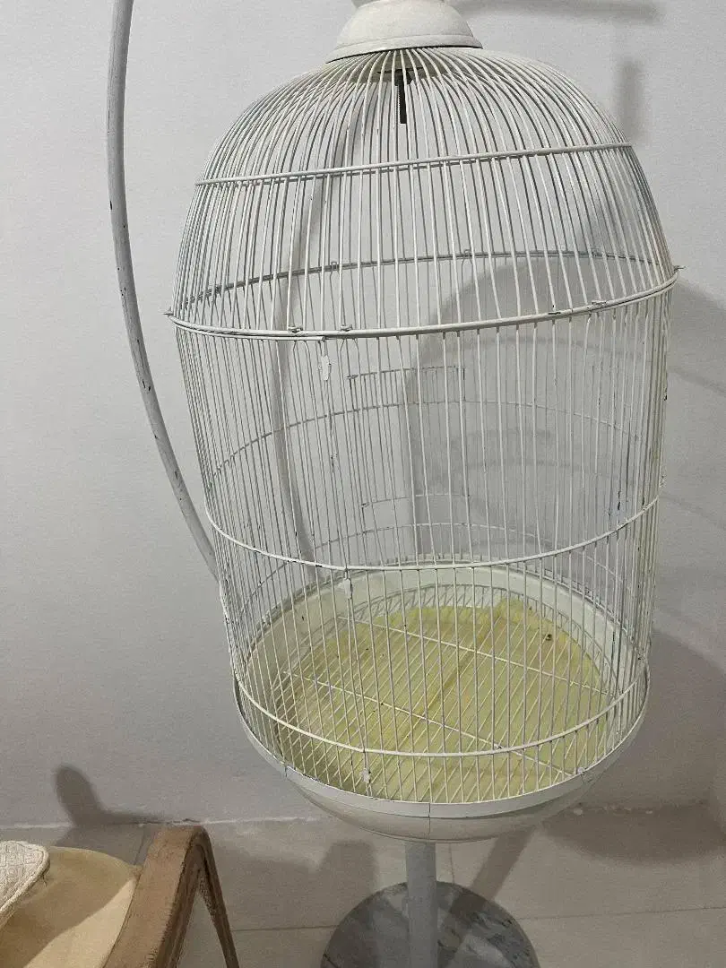 قفس عروس هلندی|لوازم جانبی حیوانات|هشتگرد, شهرک بعثت|دیوار