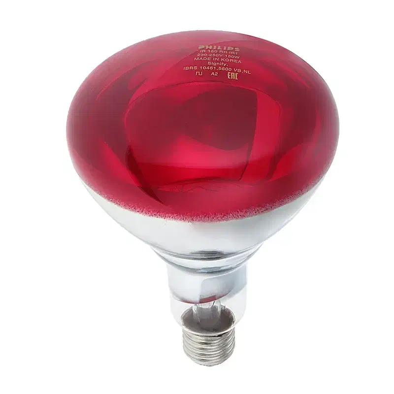 چراغ|لامپ و چراغ|تهران, باغ فردوس|دیوار