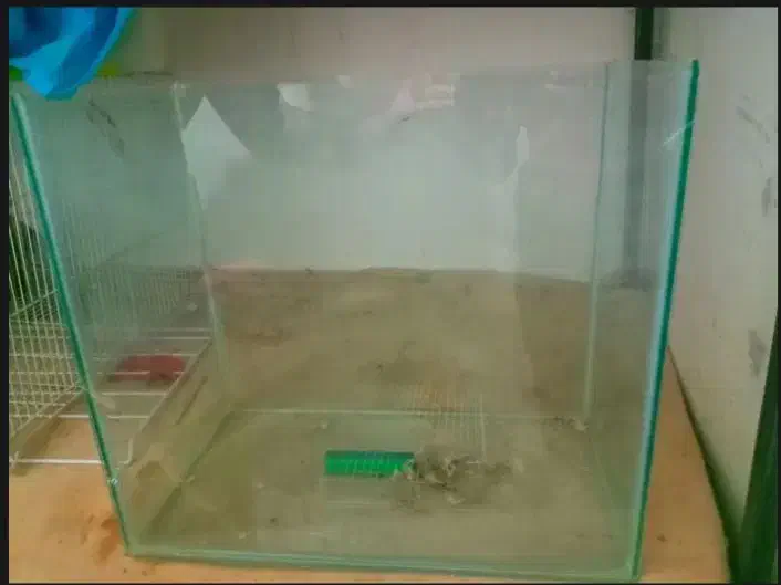 آکواریوم|ماهی|تربت جام, مسکن مهر|دیوار