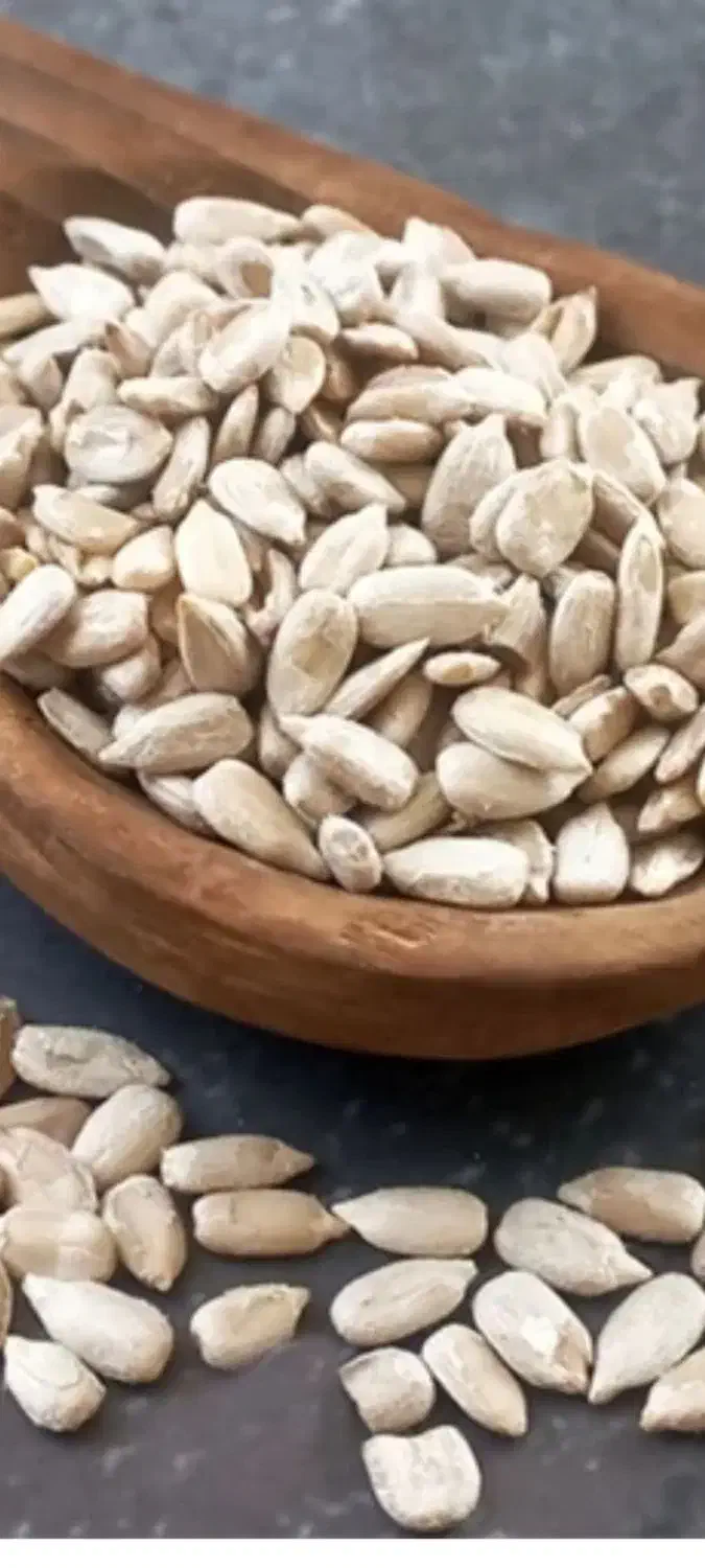 نمایندگی مغز تخمه آفتابگردان|خوردنی و آشامیدنی|شیراز, حجت آباد|دیوار