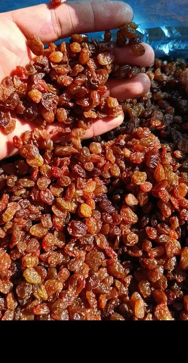 کشمش پلویی|خوردنی و آشامیدنی|ملایر, |دیوار