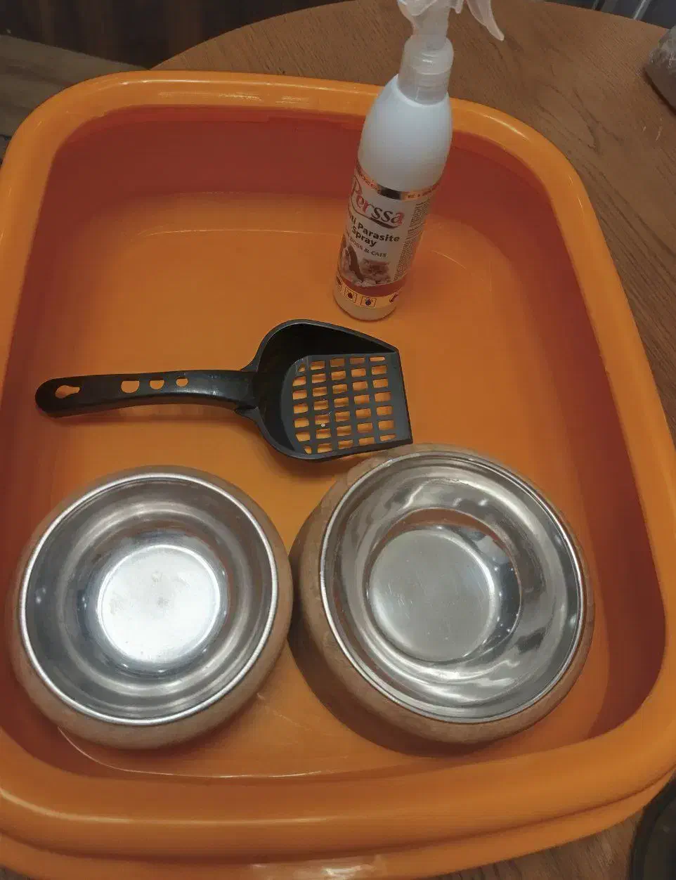 ظرف غذا و ظرف خاک گربه|گربه|کرج, فاز ۱ مهرشهر|دیوار