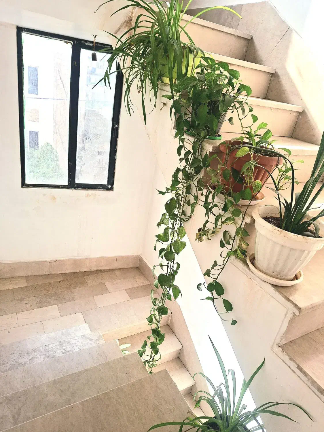 با امنیت بالا و شیک روزانه|اجارهٔ کوتاه‌مدت آپارتمان و سوئیت|بومهن, |دیوار