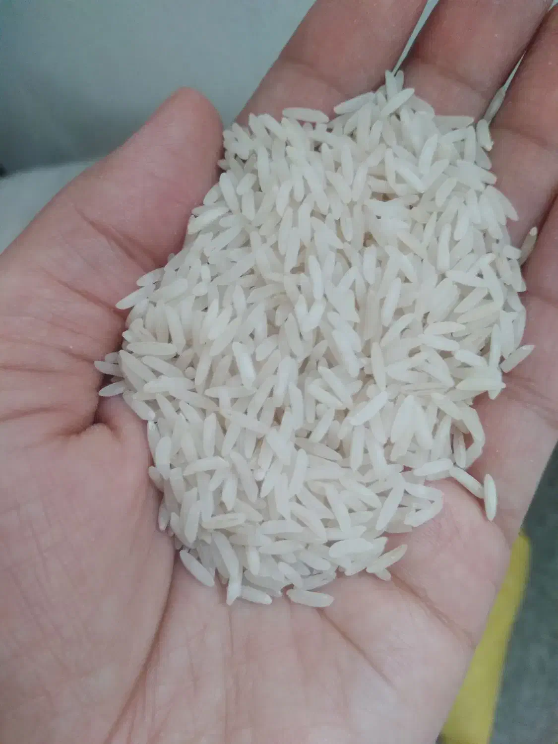 برنج  شیرودی|خوردنی و آشامیدنی|الوند, |دیوار