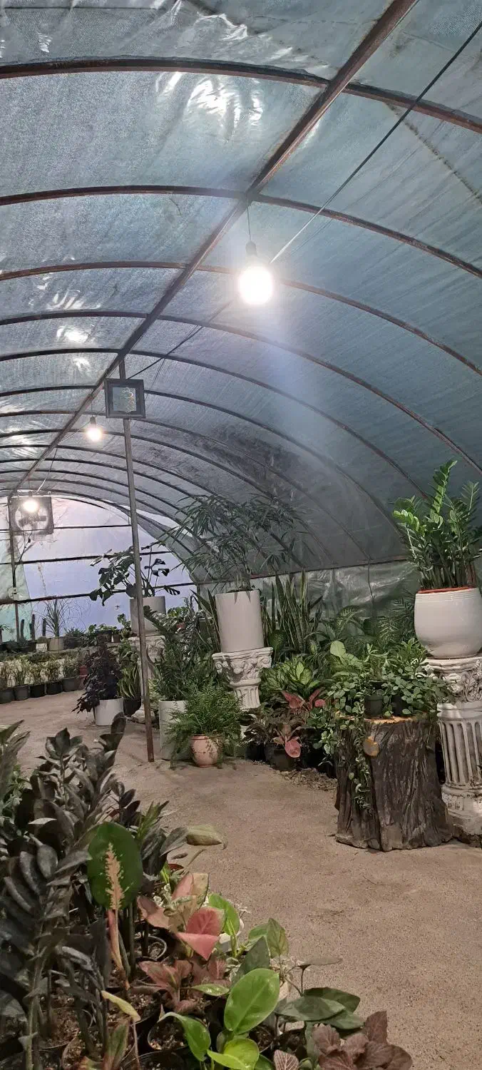 فروش گلخانه|فروشگاه و مغازه|مینودشت, |دیوار