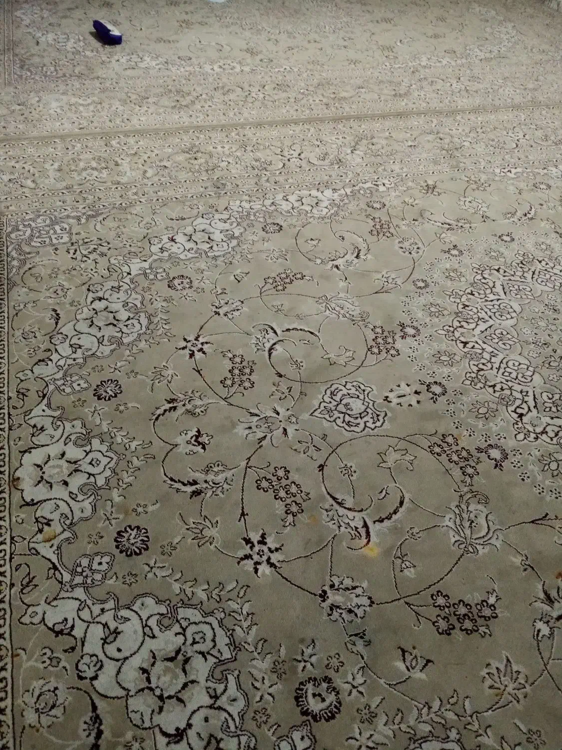 قالی فرش|فرش|نجف‌آباد, یزدانشهر|دیوار