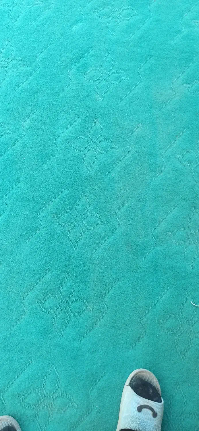 موکت رنگ مغز پشته ای55متر|موکت|نجف‌آباد, هفده شهریور|دیوار