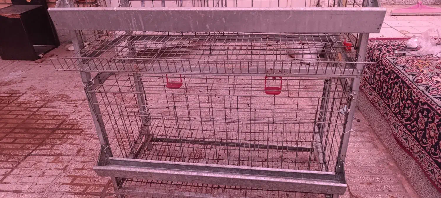 قفس مخصوص مرغ وجوجه دارای آبخوری ودونخوری|لوازم جانبی حیوانات|یزد, |دیوار