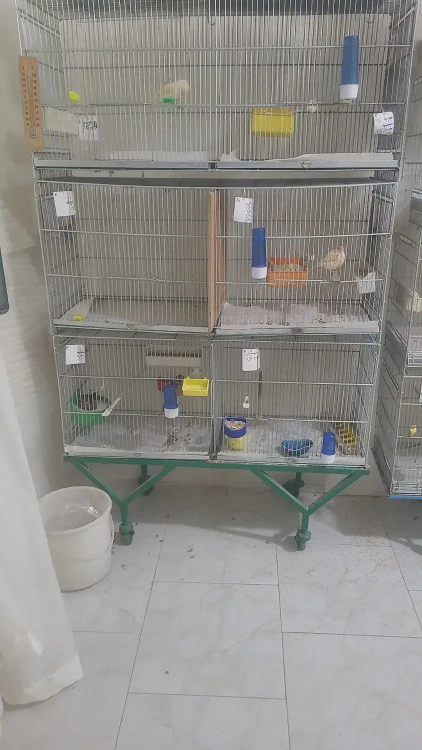 قفس ۸ خان|لوازم جانبی حیوانات|پردیس, فاز ۴|دیوار