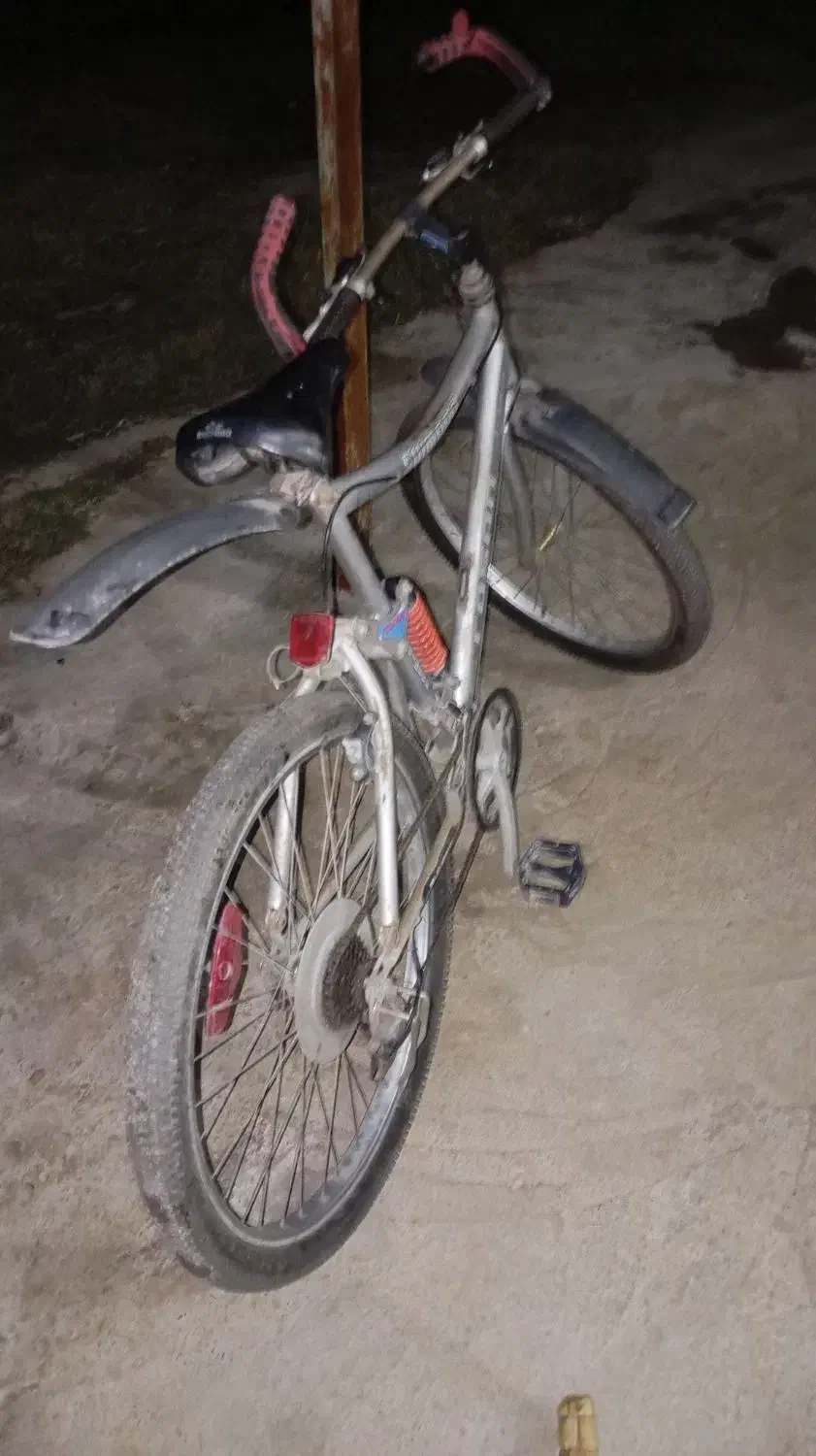 دوچرخه ۲۶|دوچرخه، اسکیت، اسکوتر|گنبد کاووس, |دیوار