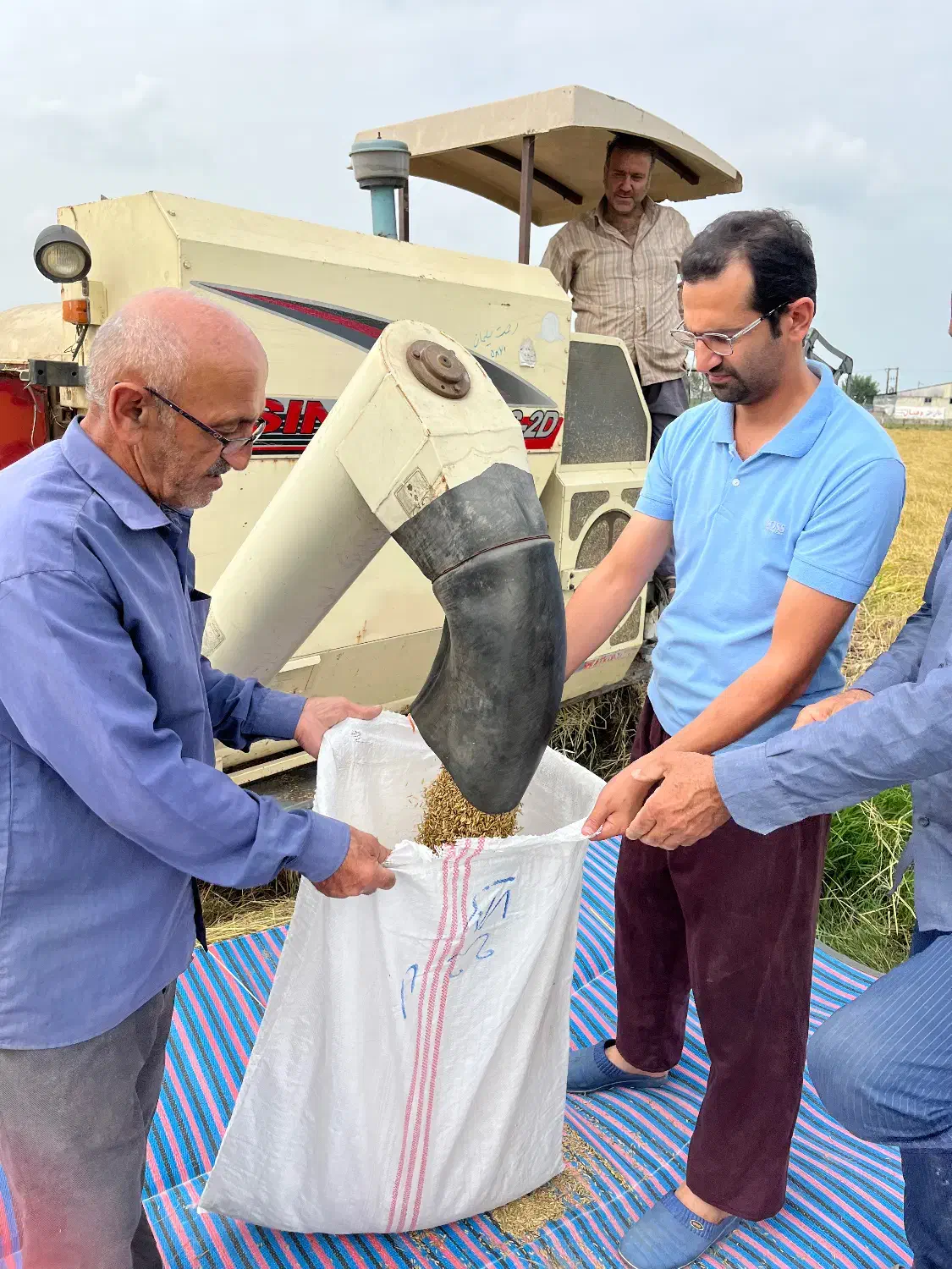 طارم لوکس کشت پاییز|خوردنی و آشامیدنی|تهران, منیریه|دیوار