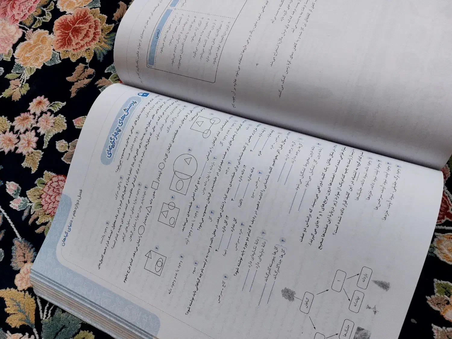 علوم نهم تیزهوشان خیلی سبز|کتاب و مجله آموزشی|اهواز, ۳۰ متری|دیوار