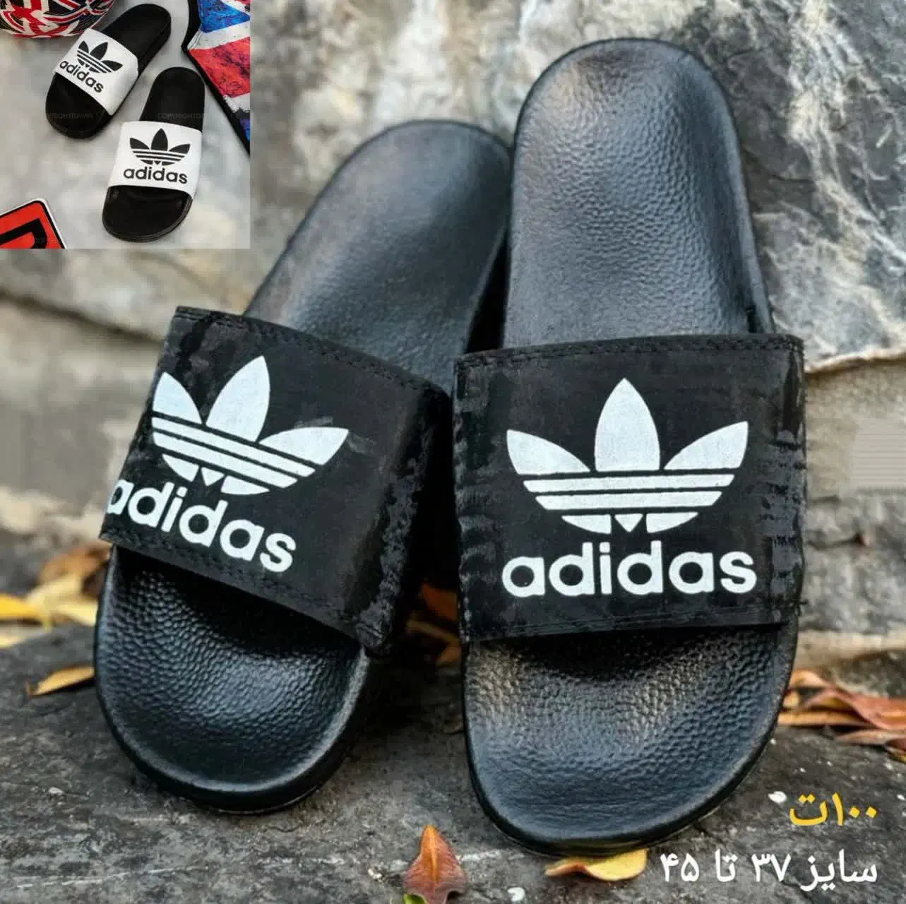 سرویس بشقاب چینی|ظروف سرو و پذیرایی|سبزوار, جوادیه شرقی|دیوار