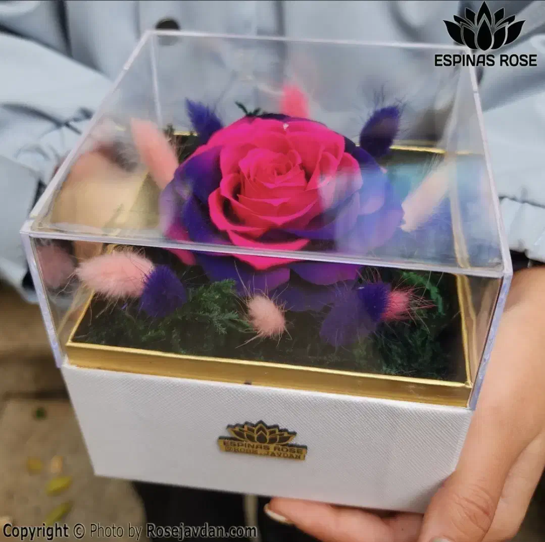 باکس طرح مانا گل رز جاودان جاویدان کادو روز مادر|گل و گیاه طبیعی|تهران, میدان ولیعصر|دیوار