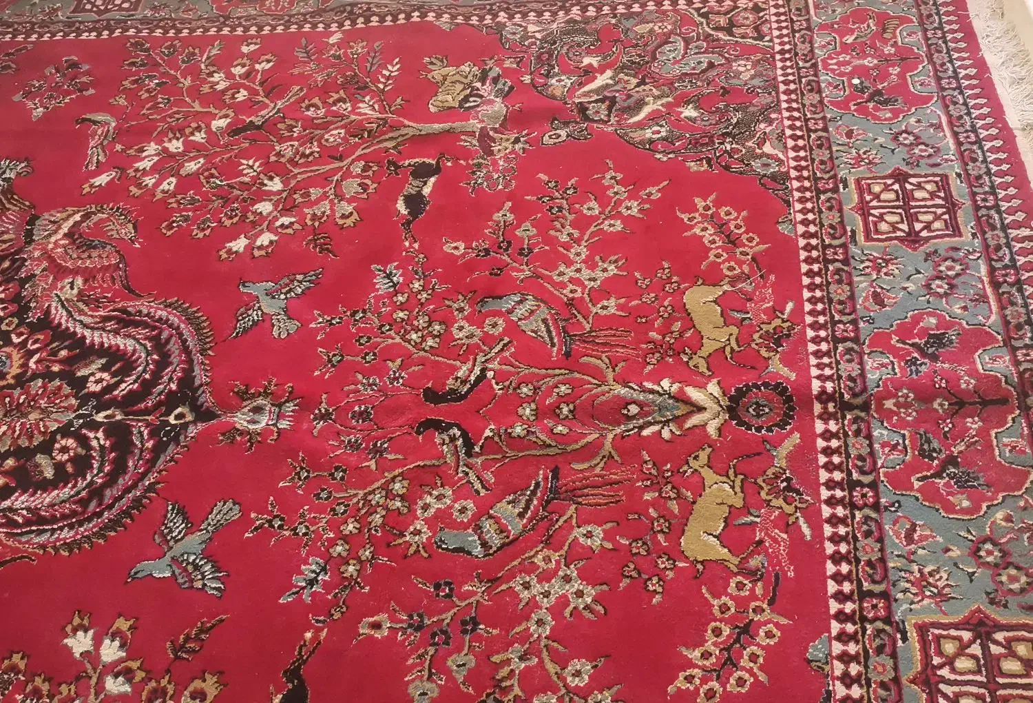 یک جفت فرش سالم بدون پارگی وپوسیدگی|فرش|مشهد, شهید معقول|دیوار