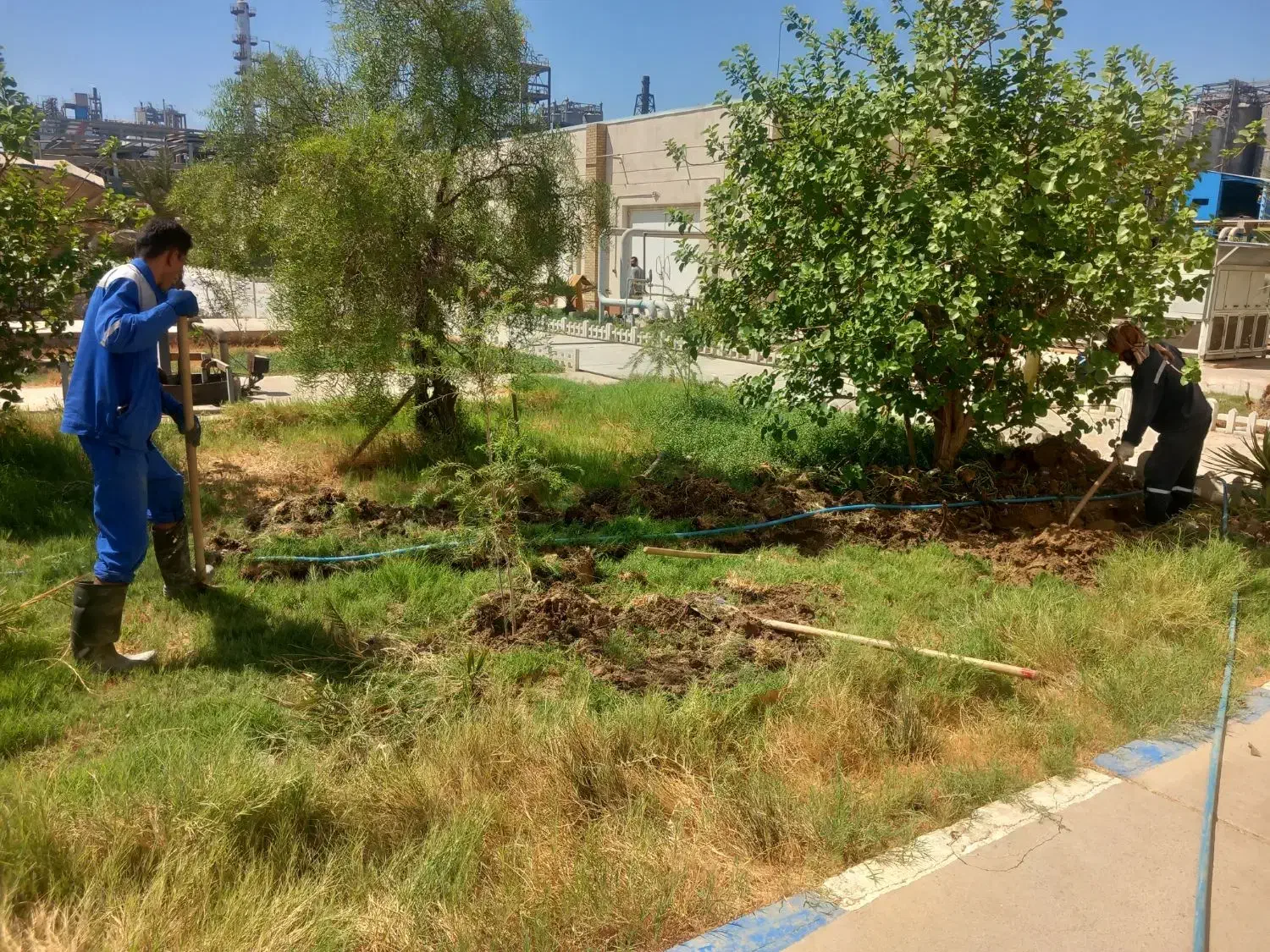 شستشوونظافت اپارتمان سالن ها واموزشگاهها|خدمات نظافت|بندر ماهشهر, |دیوار