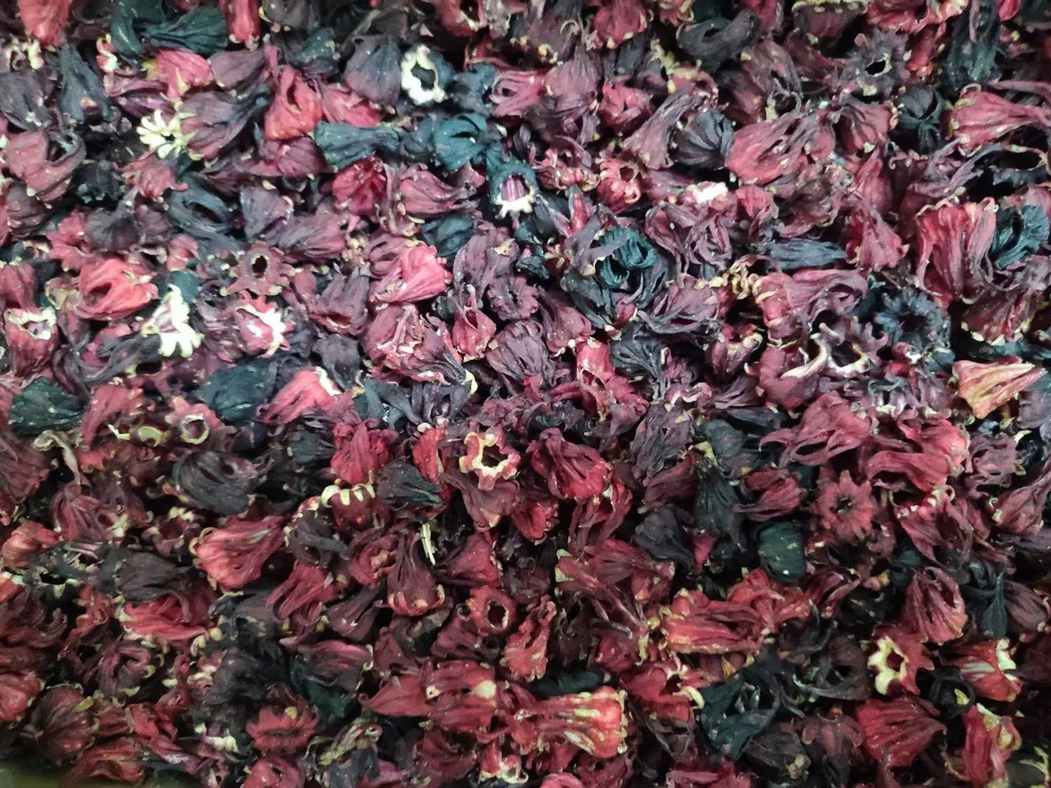 چای ترش خشک امسال (نو)|خوردنی و آشامیدنی|شیراز, میرزاکوچک خان|دیوار