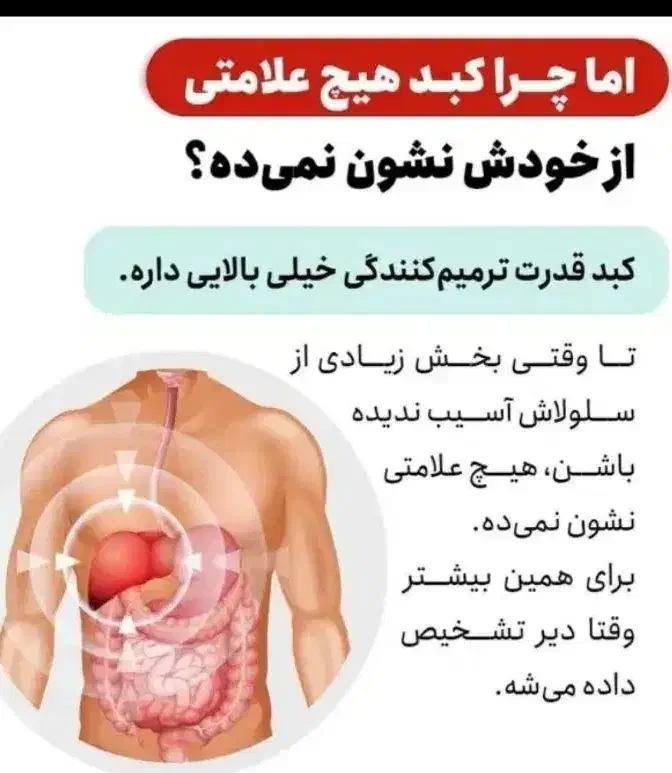 کبدچرب وسیروز|خدمات آرایشگری و زیبایی|حمیدیه, |دیوار