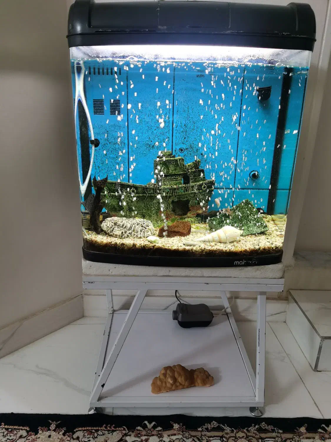 آکواریوم زیبا|ماهی|شهریار, کهنز|دیوار