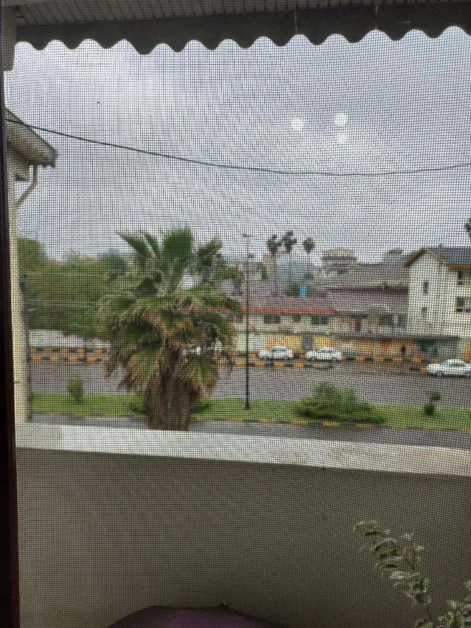 مجتمع نسیم/55متری/1خواب/شیک و تمیز/کمیاب|اجارهٔ آپارتمان|لاهیجان, یوسف آباد|دیوار