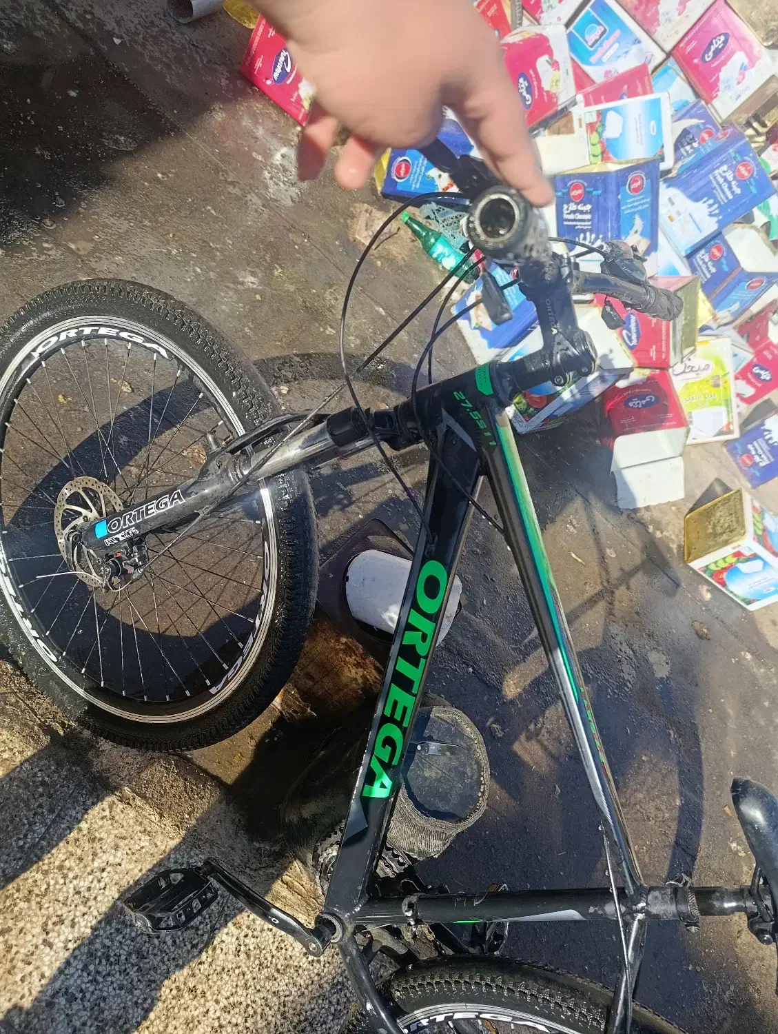 دوچرخه اورتگا|دوچرخه، اسکیت، اسکوتر|طرقبه, |دیوار