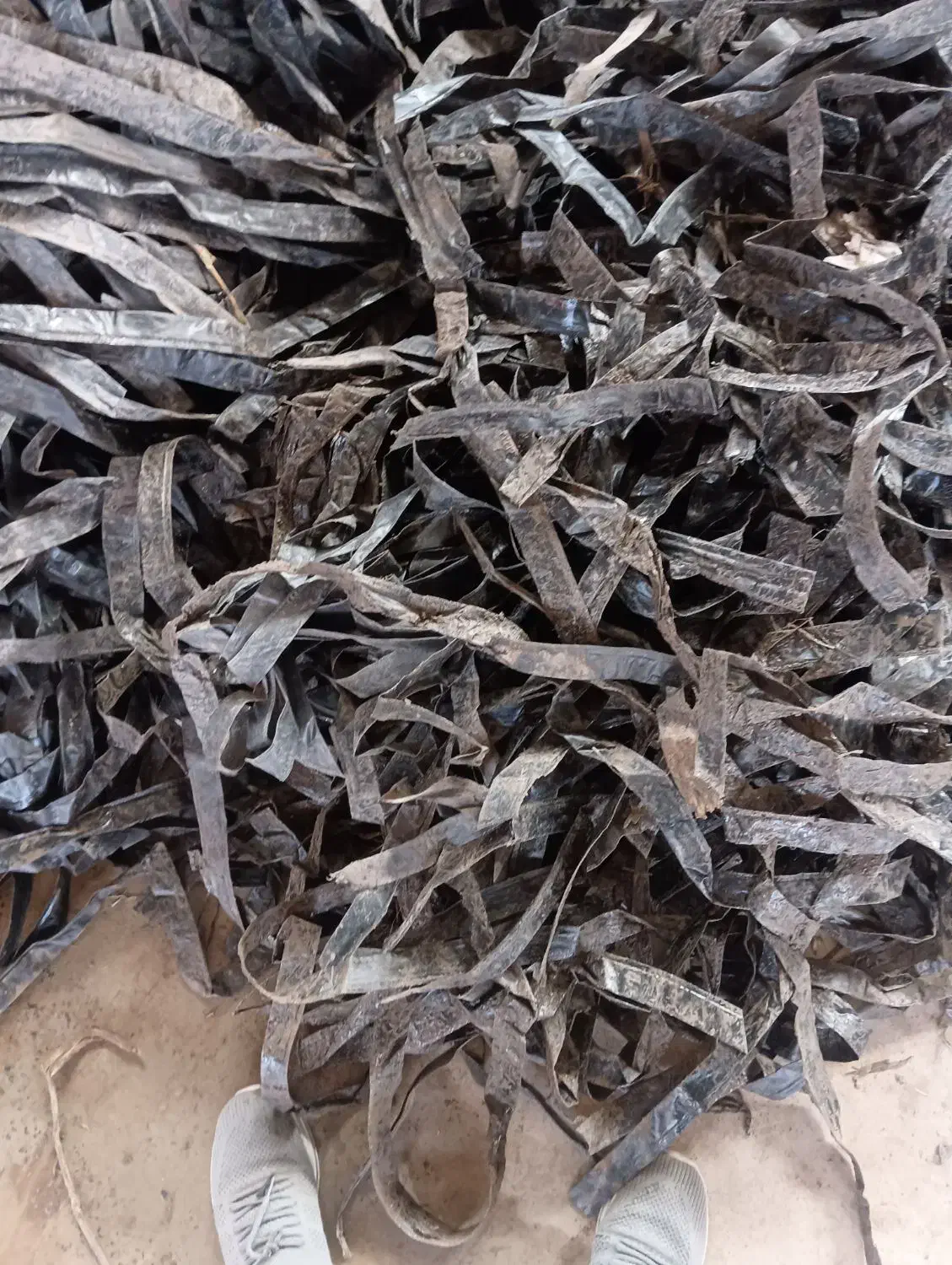 ضایعات نوار تیپ باغ|خدمات باغبانی و درختکاری|اردبیل, |دیوار