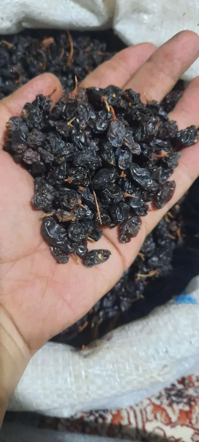 مویز آفتاب خشک|خوردنی و آشامیدنی|پاکدشت, پاکدشت (مامازند)|دیوار