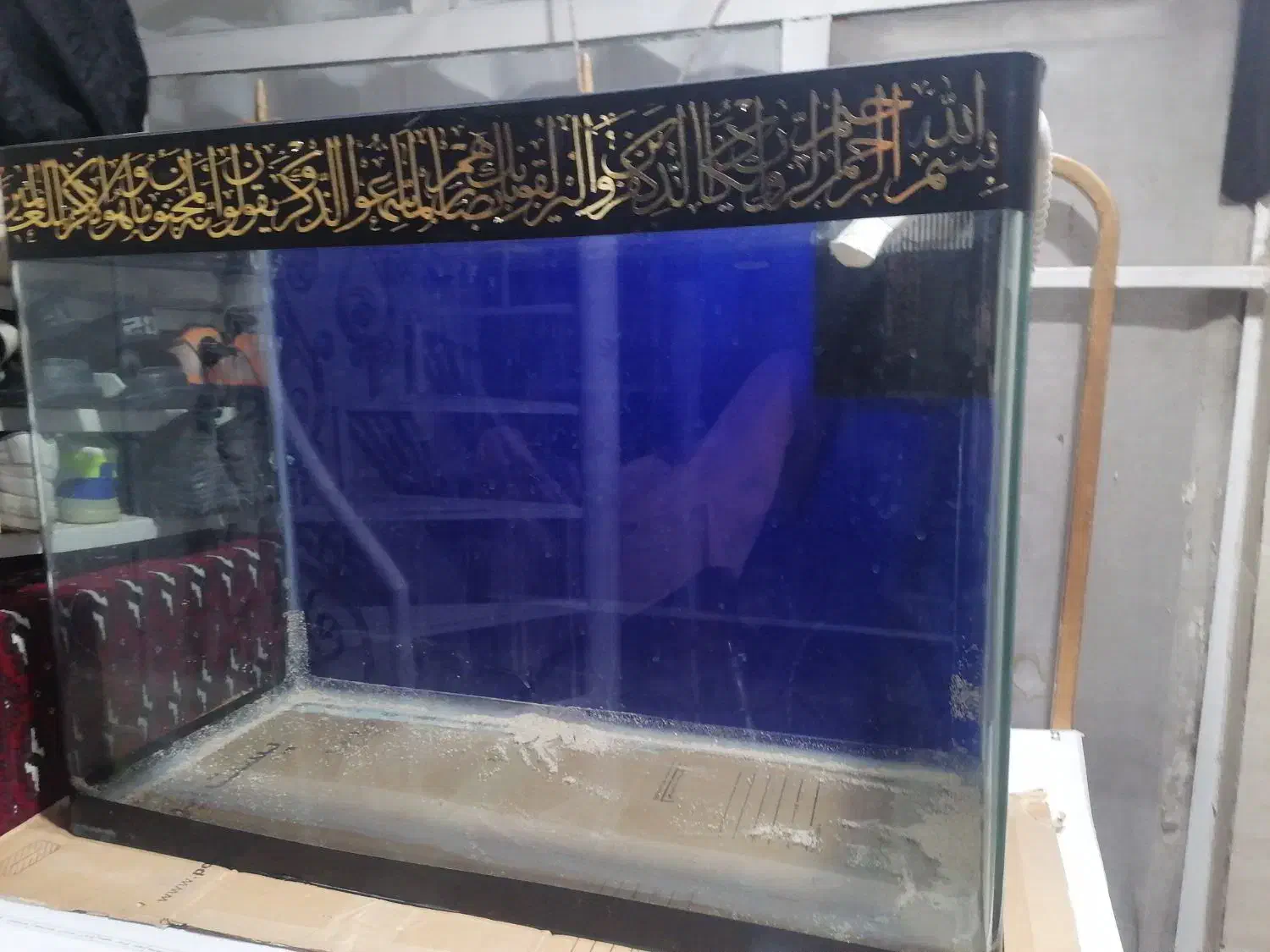 آکواریوم|ماهی|مشهد, توس (بلوار توس)|دیوار