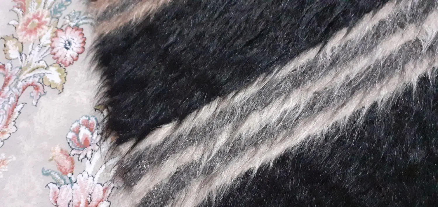 گلیم دستباف با موی بز|گلیم، جاجیم، گبه|ارومیه, |دیوار