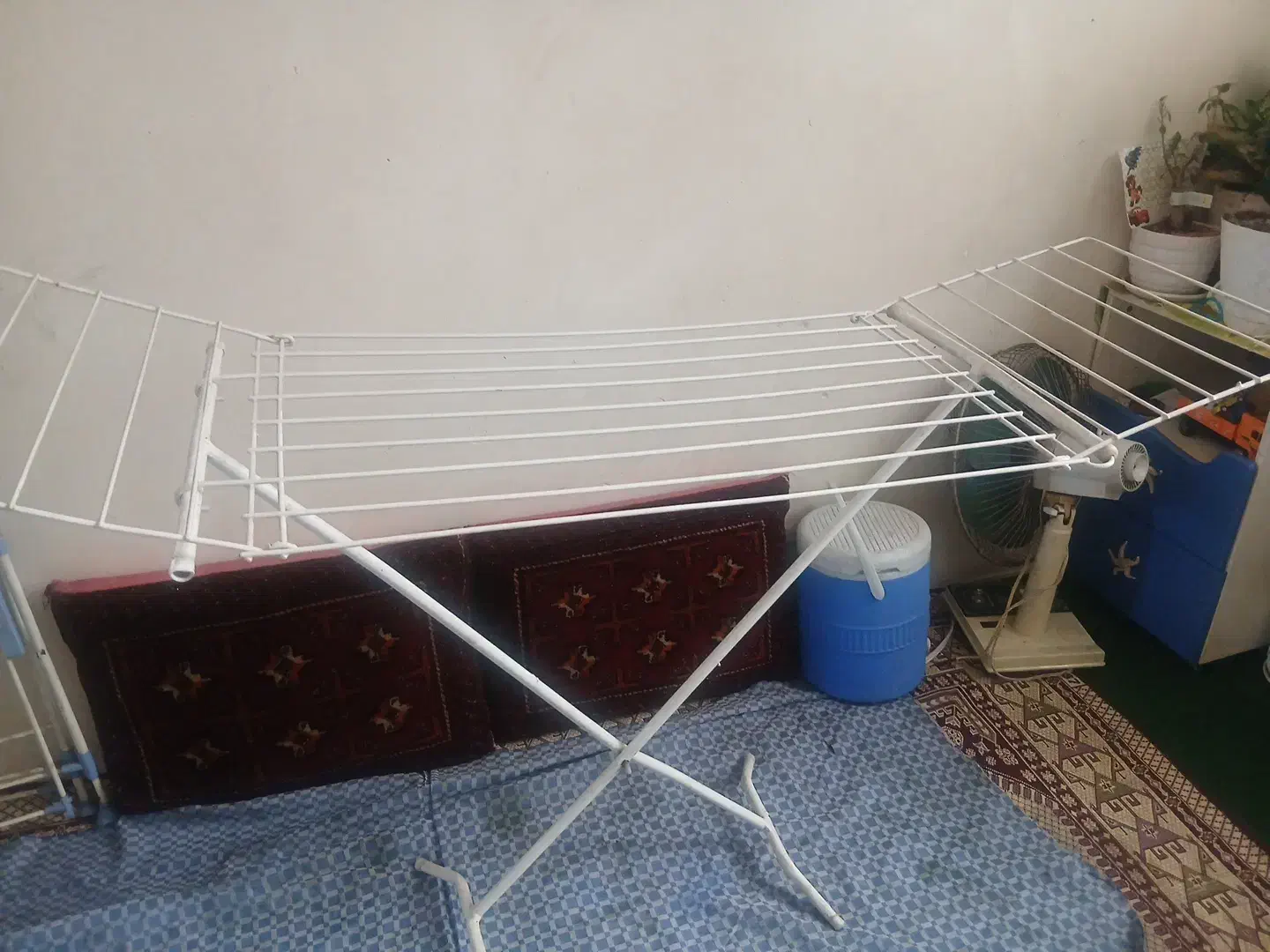 بندرخت|بندرخت و رختآویز|تهران, شمیراننو|دیوار