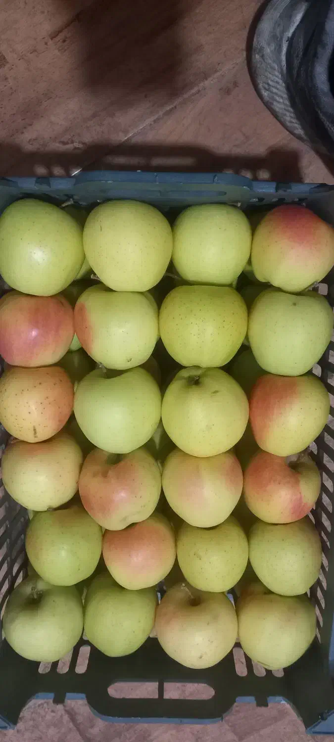 سیب درجه یک|خوردنی و آشامیدنی|مرند, |دیوار