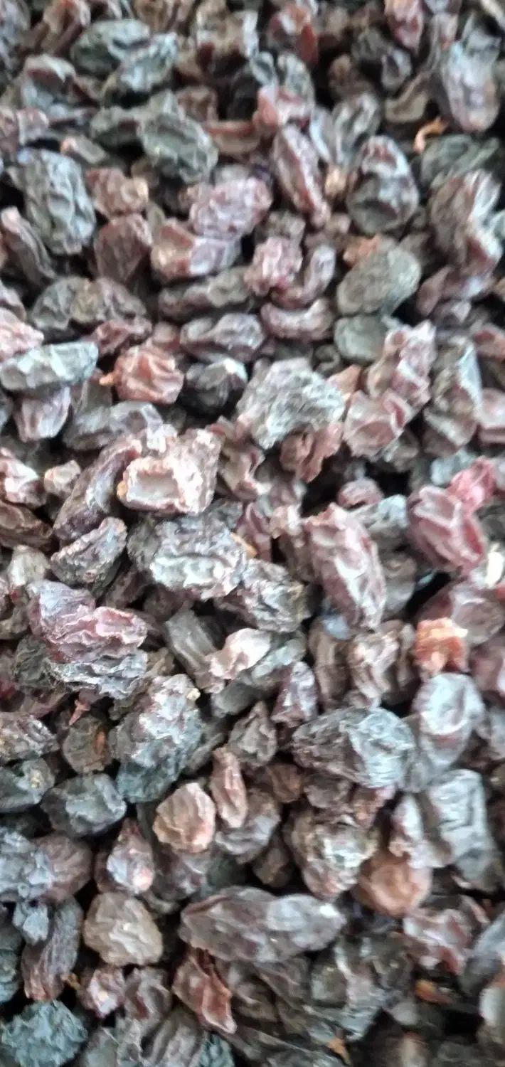 کشمش افتابی|خوردنی و آشامیدنی|ایوان, |دیوار