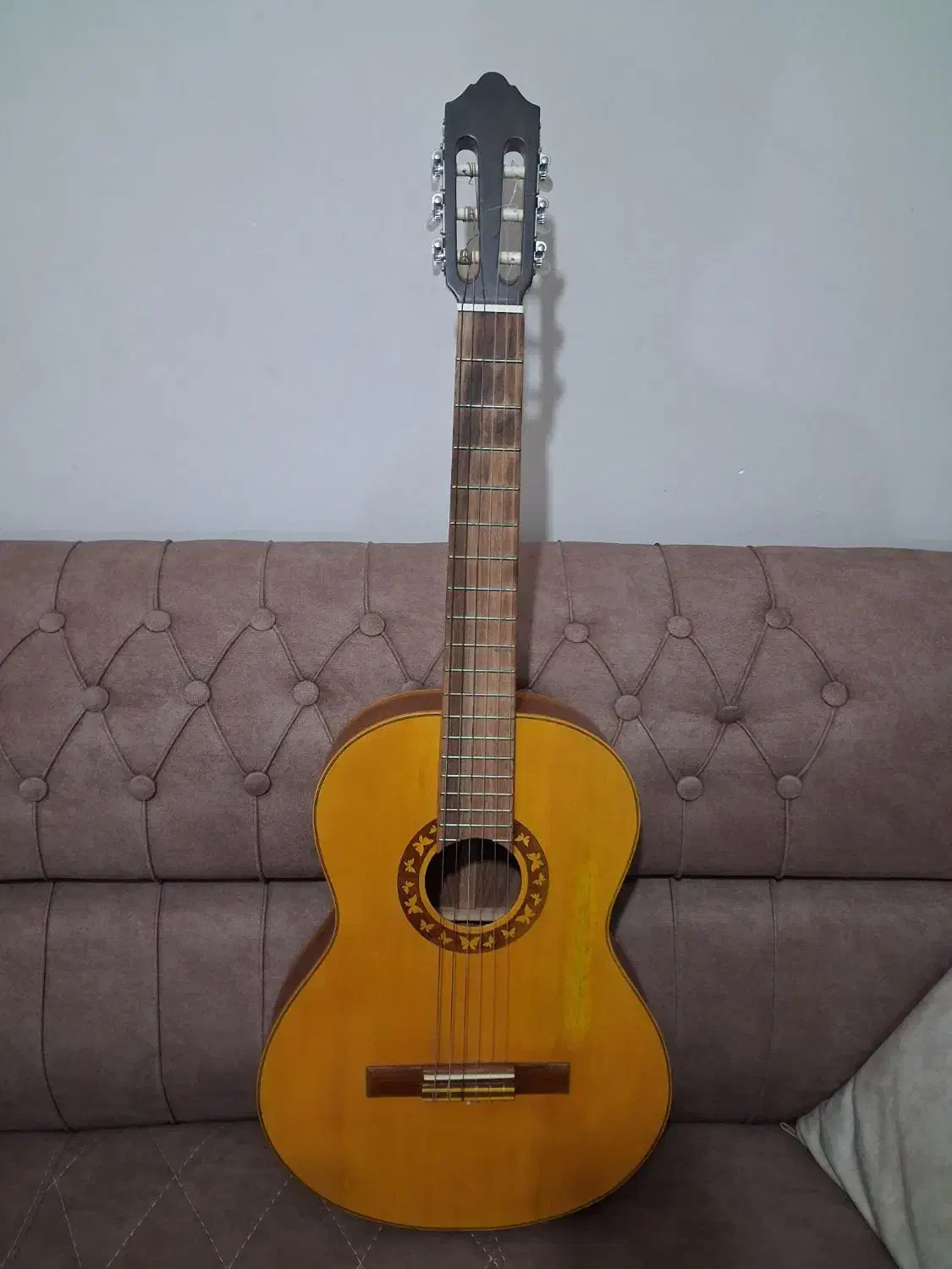 گیتار|گیتار، بیس، امپلیفایر|گرگان, |دیوار