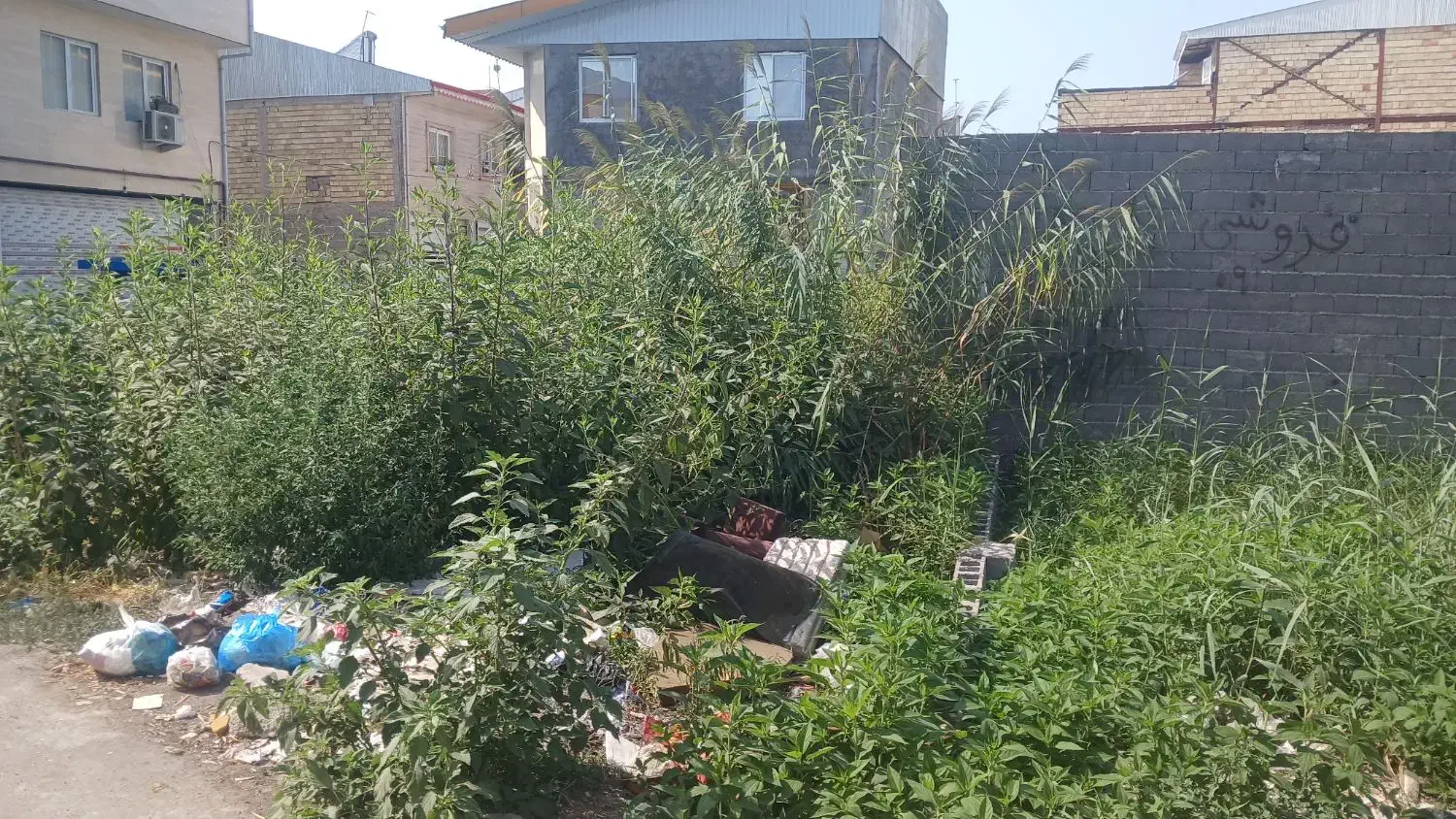 زمین ۸۱ متر دوبر|فروش زمین و ملک کلنگی|رشت, حمیدیان|دیوار