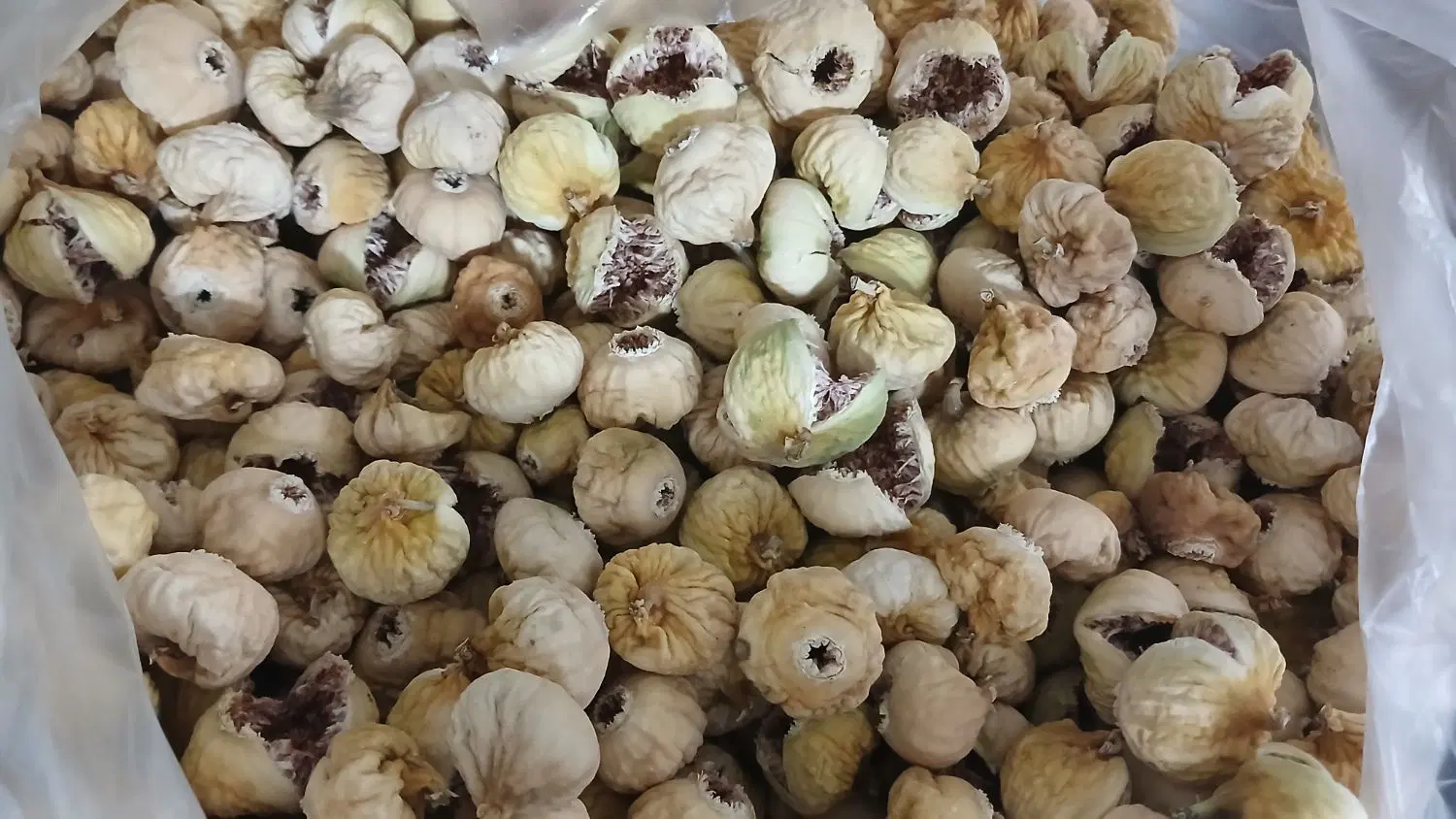 انجیر|خوردنی و آشامیدنی|شیراز, شهرک مخابرات|دیوار