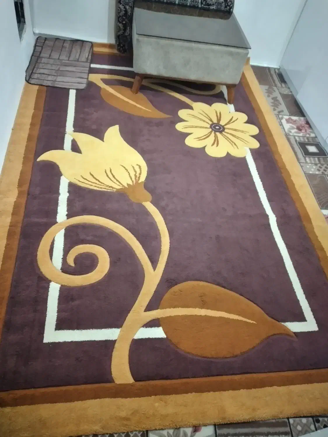 فرش سالم|فرش|اقبالیه, |دیوار