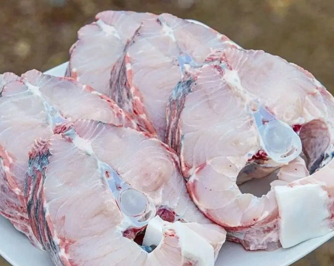 ماهی ازون برون فیله شد پوست کندمخصوص کباب وسرخ|خوردنی و آشامیدنی|قم, بکایی|دیوار