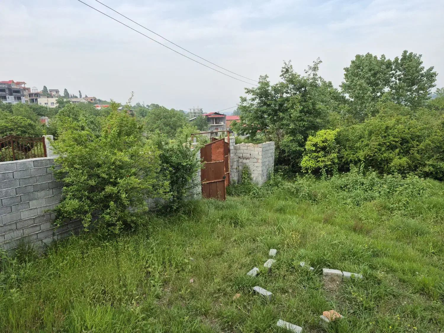 زمین باغی واسکس چسبیده به بافت بابنای ساخت|فروش زمین و ملک کلنگی|قائم‌شهر, |دیوار