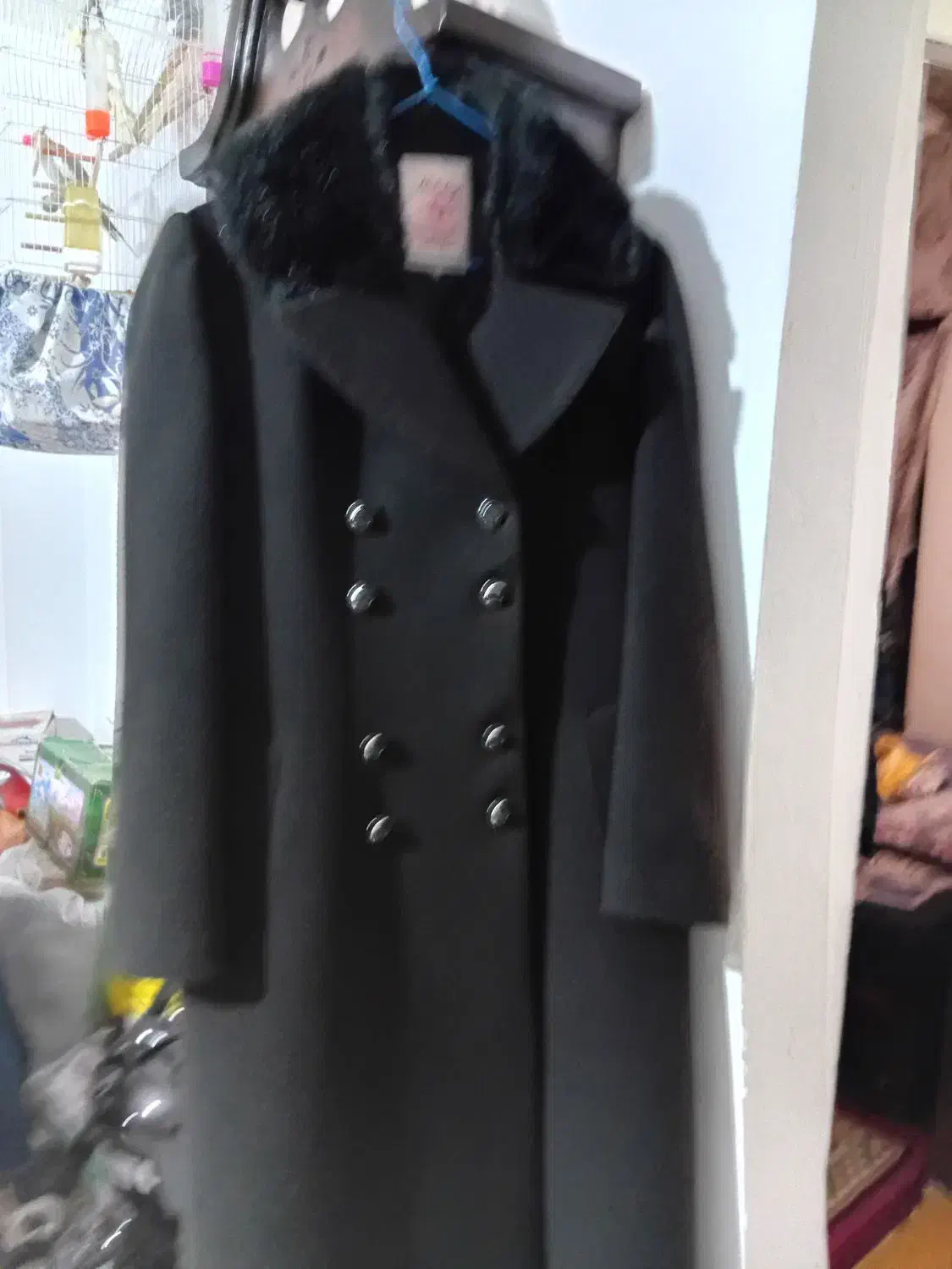 پالتو|لباس|مشهد, مهدی آباد (بلوار توس)|دیوار