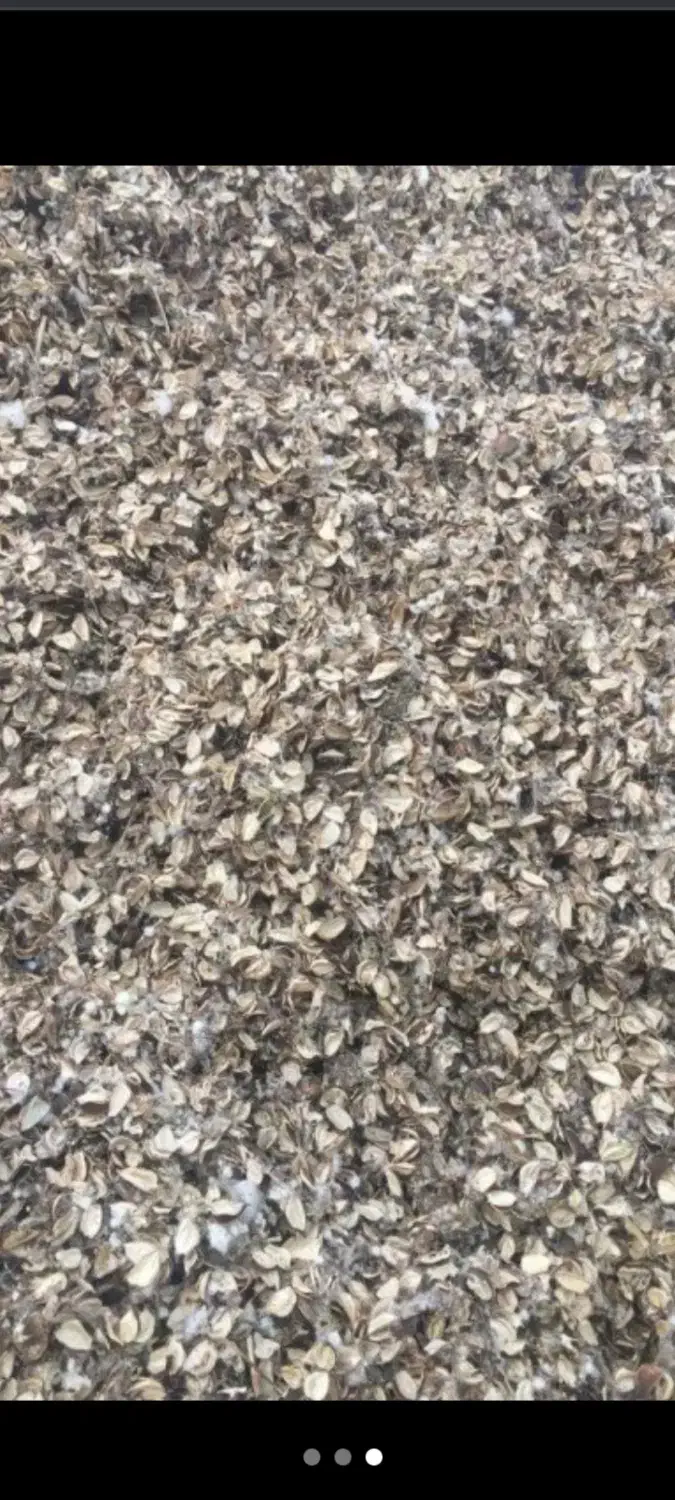 زیرچین پنبه  ،تفاله|عمده‌فروشی|میان جلگه, |دیوار