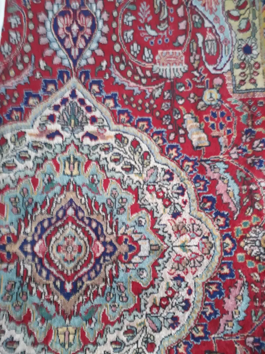 فرش فروشی|فرش|میاندوآب, |دیوار