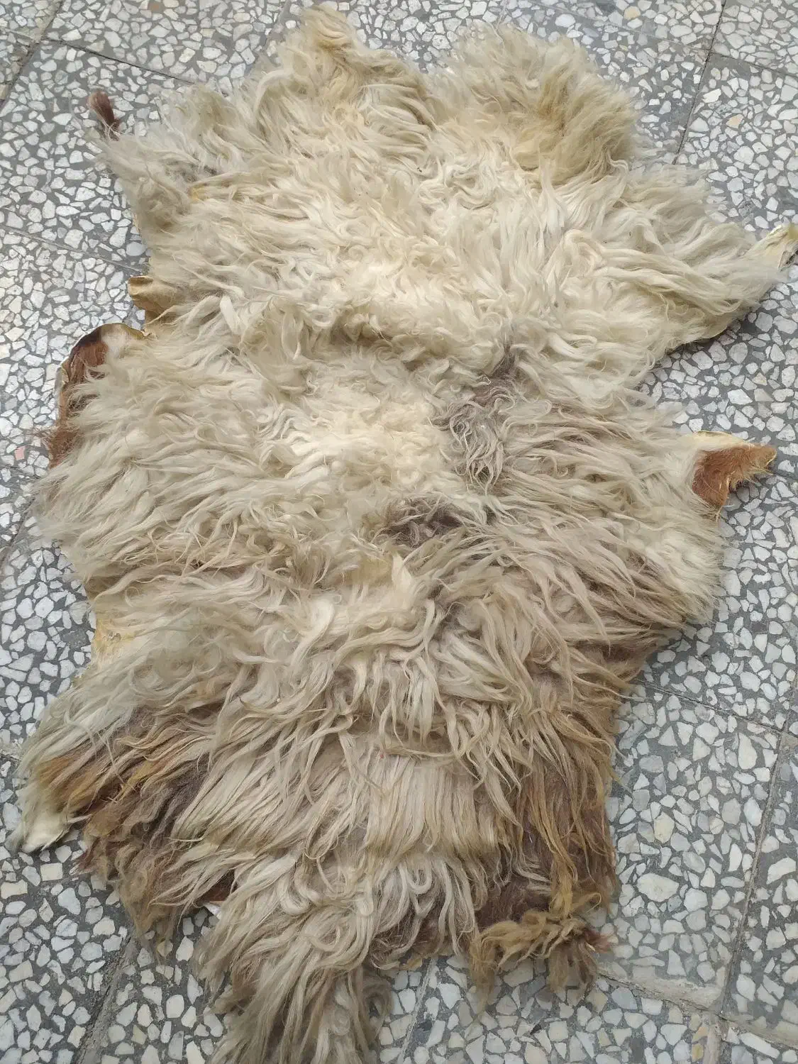 زیر انداز پوستی|روفرشی|خرمآباد, |دیوار