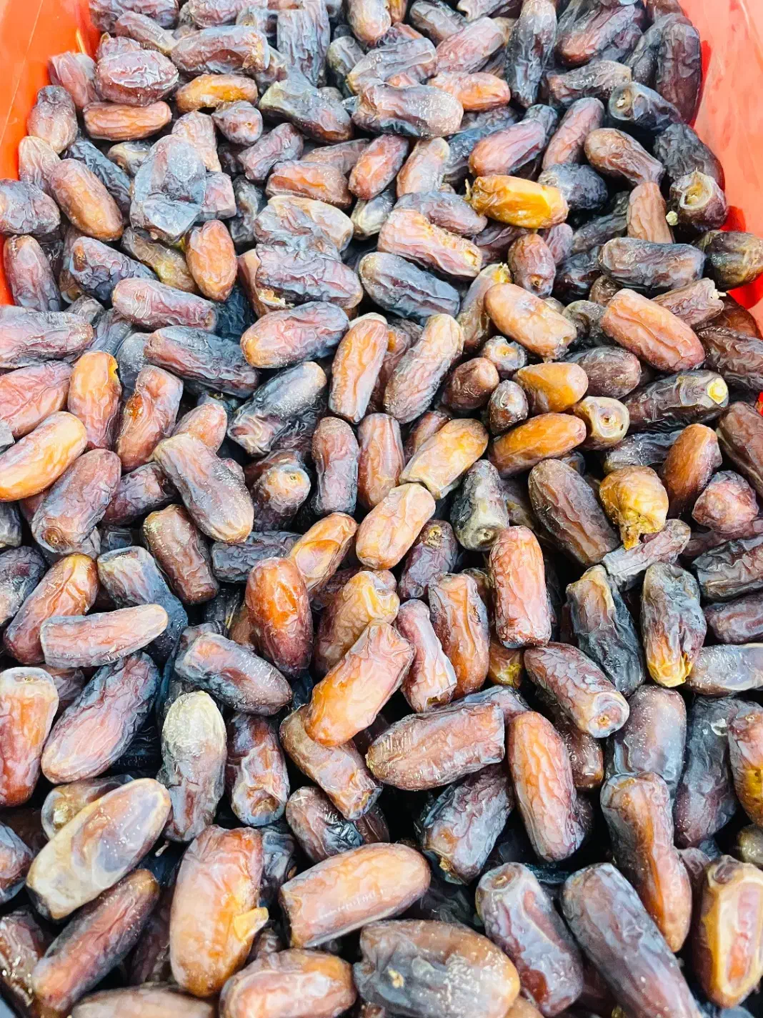خرمای پیارم|خوردنی و آشامیدنی|شیراز, فرهنگ شهر|دیوار