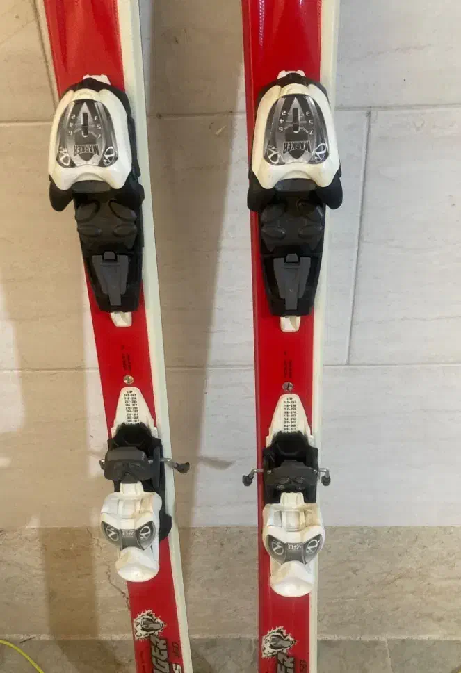 اسکی الپاین|ورزش‌های زمستانی|ارومیه, |دیوار