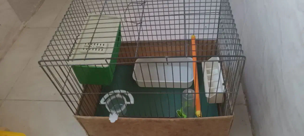 قفس ولوازم پرنده|لوازم جانبی حیوانات|بهارستان, |دیوار