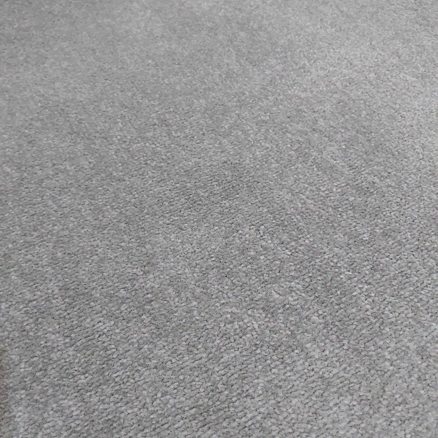 ۲۴ متر پالاز موکت نو|موکت|بندر امام خمینی, |دیوار