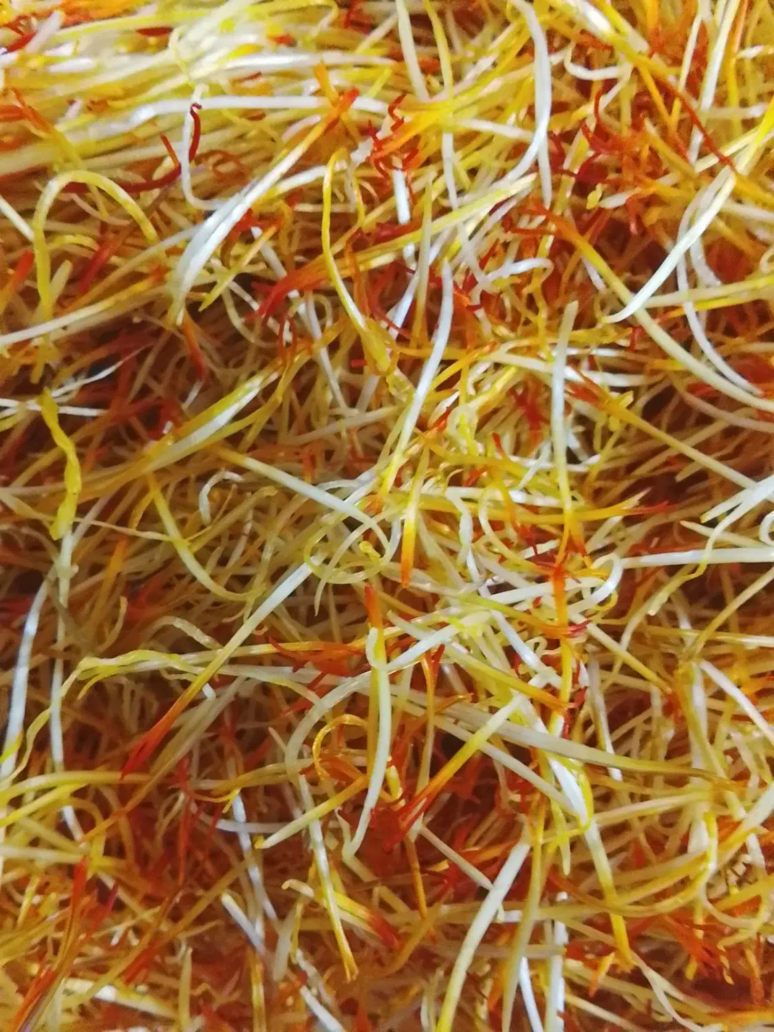 خامه زعفران|خوردنی و آشامیدنی|گهواره, |دیوار