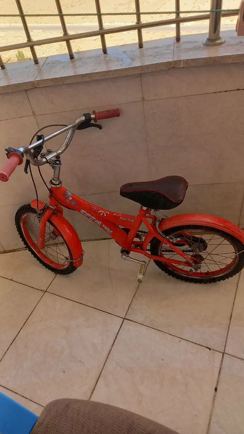 دوچرخه|دوچرخه، اسکیت، اسکوتر|فولادشهر, C3|دیوار