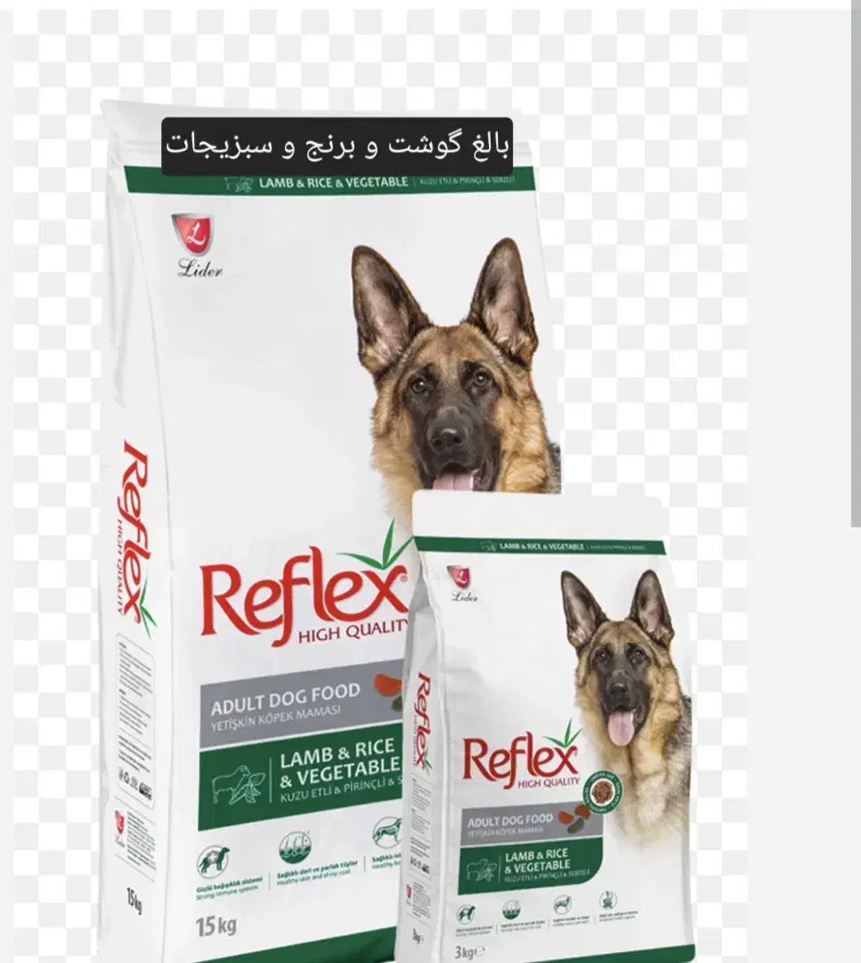 رنگین کمان|پرنده|تهران, بازار|دیوار