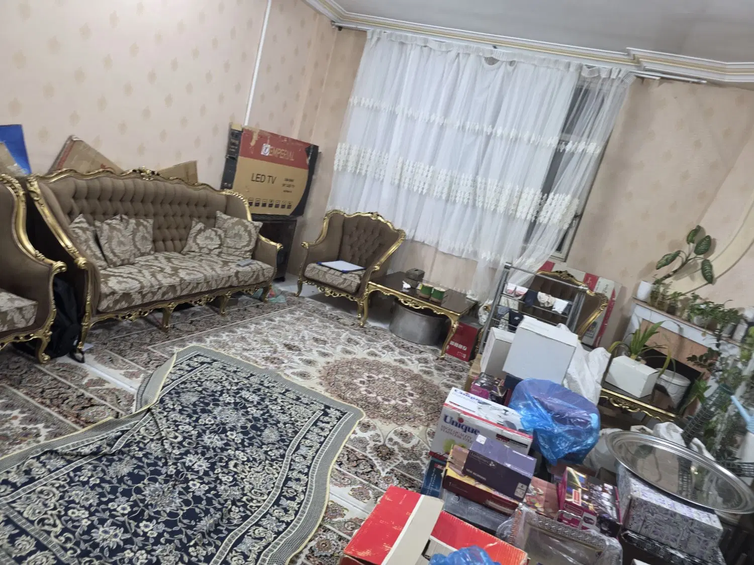 تصویر 6